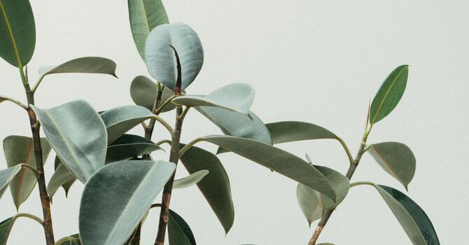 Pre + Post Natal Training & Yoga 